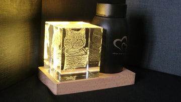 FreezePIX - Personalized Urn
