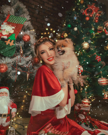 Capture the Magic: Best Photo Poses for Your Pet This Christmas - FreezePix