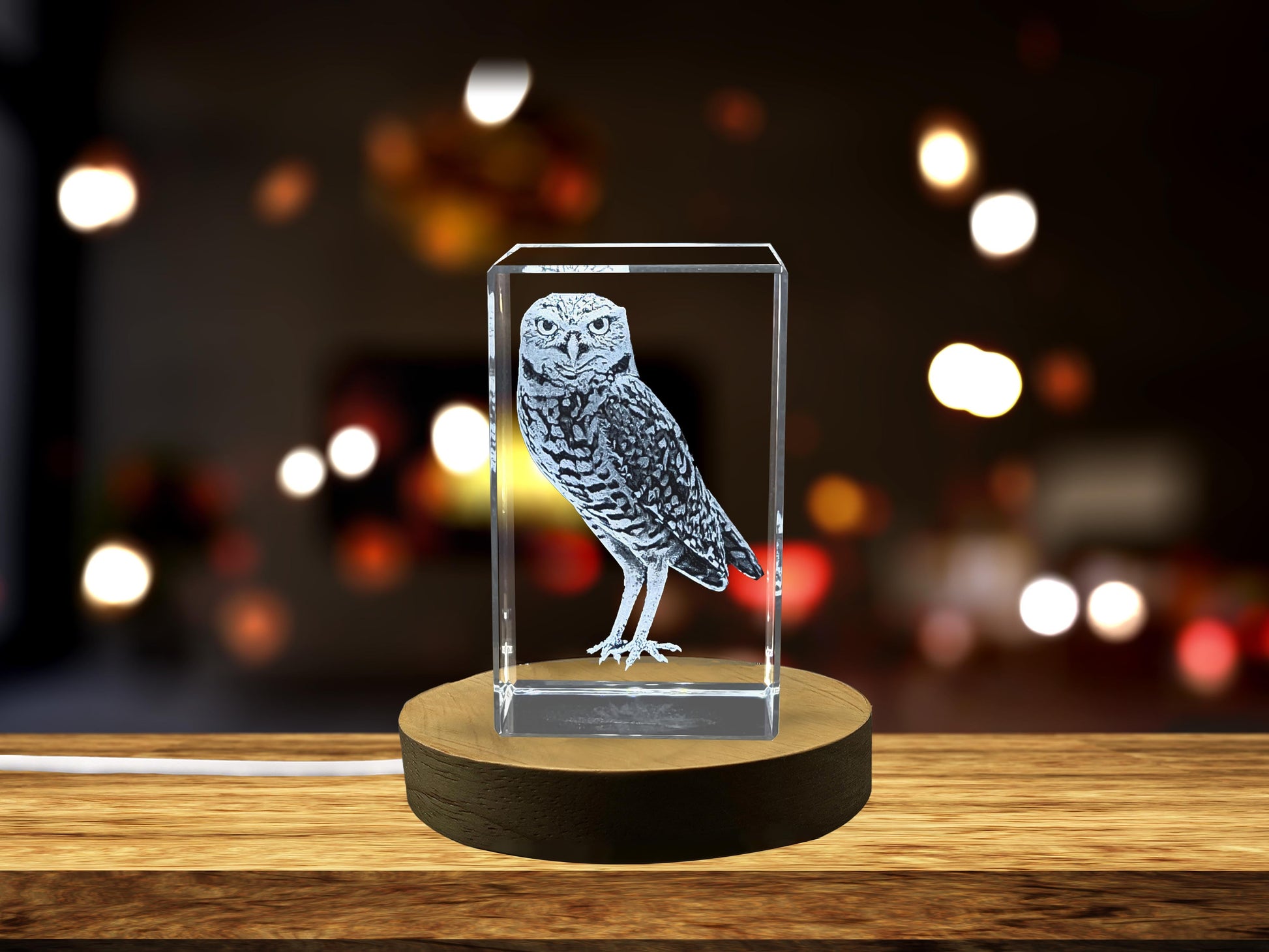 High-Quality Photo Printing & Personalized Gifts - Beautifully 3D Engraved Crystal Sculpture of a Burrowing Owl Keepsake Gift | FreezePIX
