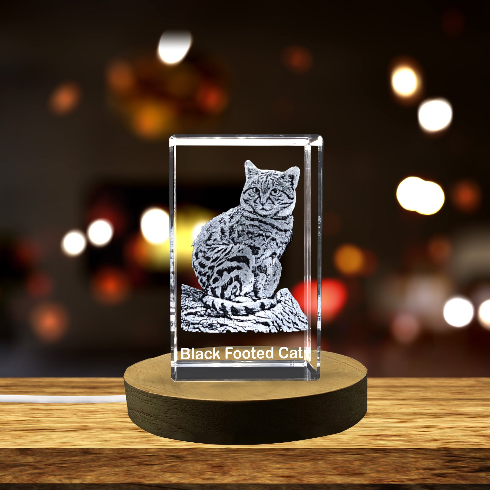 High-Quality Photo Printing & Personalized Gifts - A Portrait of Nature's Miniature Hunter - Black-footed Cat Crystal Sculpture | FreezePIX