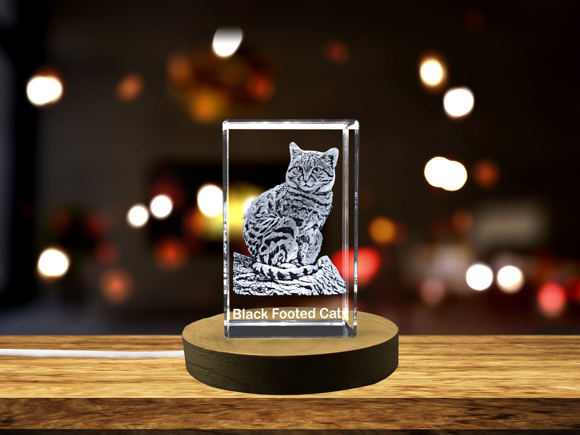 High-Quality Photo Printing & Personalized Gifts - A Portrait of Nature's Miniature Hunter - Black-footed Cat Crystal Sculpture | FreezePIX