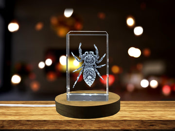 High-Quality Photo Printing & Personalized Gifts - Beautiful 3D Engraved Crystal with Jumping Spider Design | FreezePIX