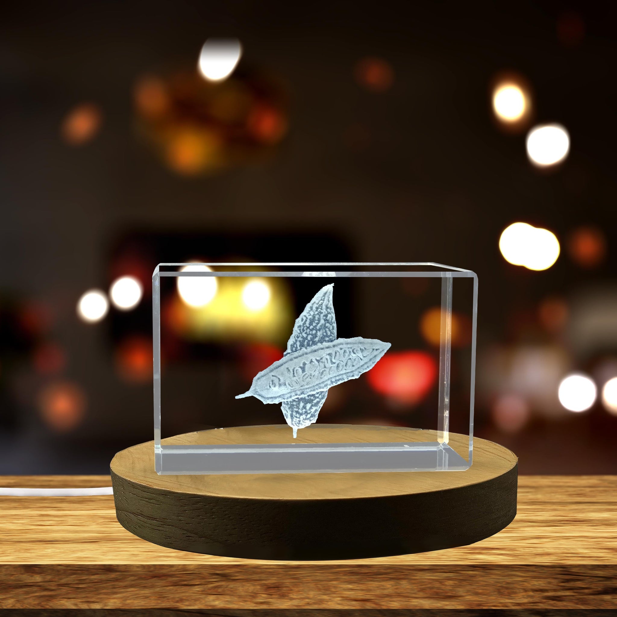 High-Quality Photo Printing & Personalized Gifts - Bitter Gourd 3D Engraved Unique Vegetable Crystal Gift | FreezePIX