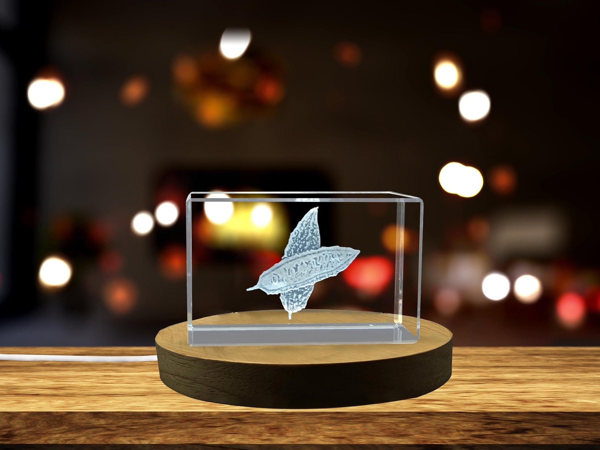 High-Quality Photo Printing & Personalized Gifts - Bitter Gourd 3D Engraved Unique Vegetable Crystal Gift | FreezePIX