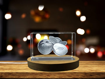 Plum Fruit 3D Engraved Crystal Decor Gift