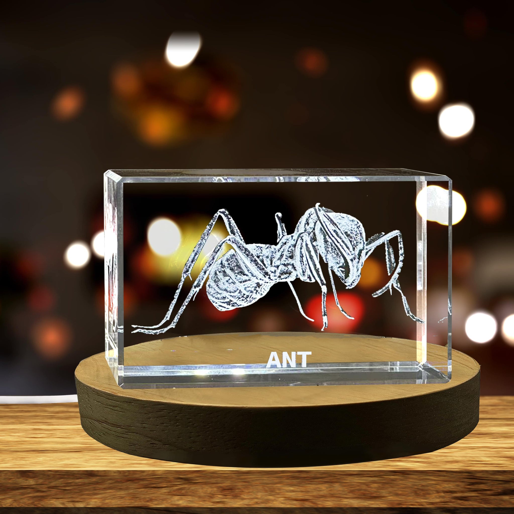 High-Quality Photo Printing & Personalized Gifts - Unique 3D Engraved Crystal with Ant Design - Perfect Gift for Insect Lovers | FreezePIX
