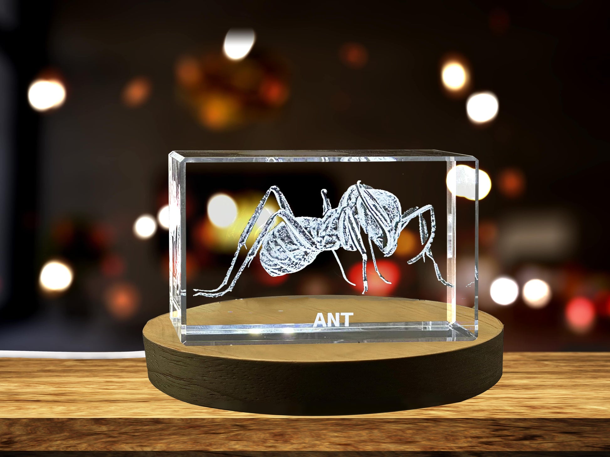 High-Quality Photo Printing & Personalized Gifts - Unique 3D Engraved Crystal with Ant Design - Perfect Gift for Insect Lovers | FreezePIX