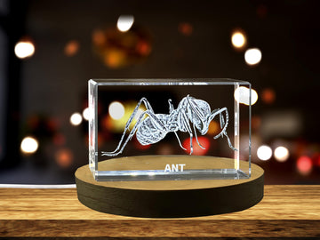 High-Quality Photo Printing & Personalized Gifts - Unique 3D Engraved Crystal with Ant Design - Perfect Gift for Insect Lovers | FreezePIX