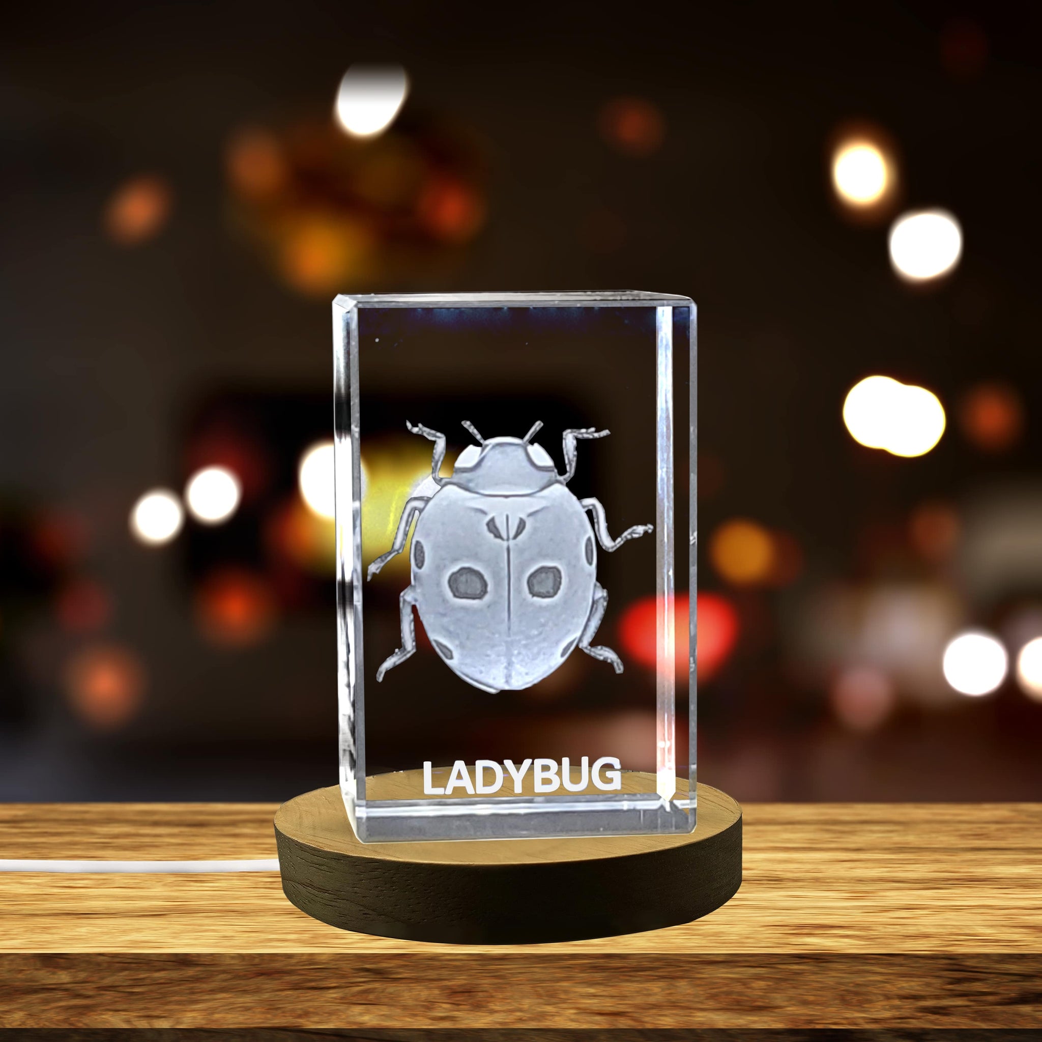 High-Quality Photo Printing & Personalized Gifts - Whimsical Ladybug Crystal Carvings | Exquisite Gems Etched with Lucky Bugs | FreezePIX