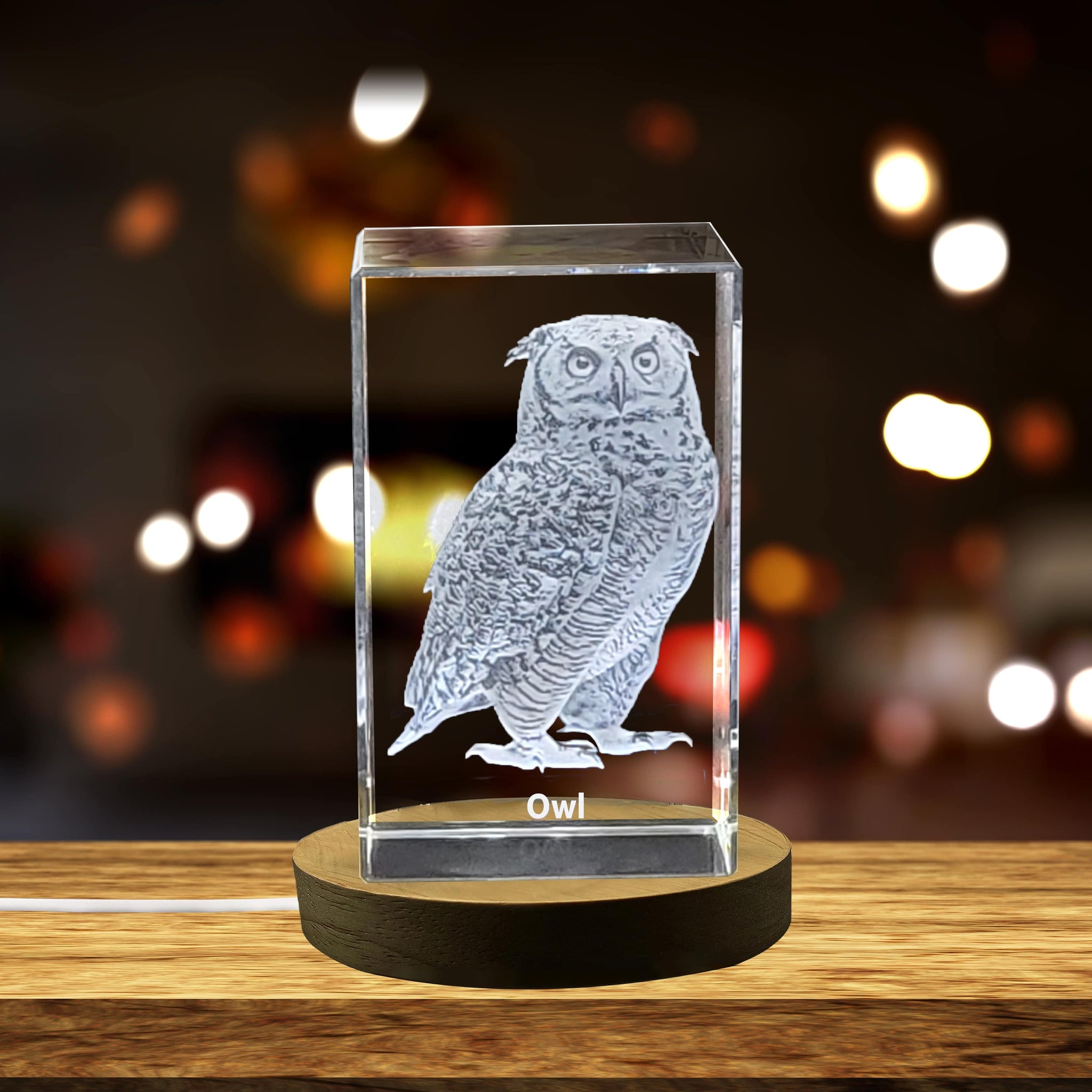 High-Quality Photo Printing & Personalized Gifts - Wise Owl Crystal Carvings | Exquisite Gems Etched with Nocturnal Raptors | FreezePIX