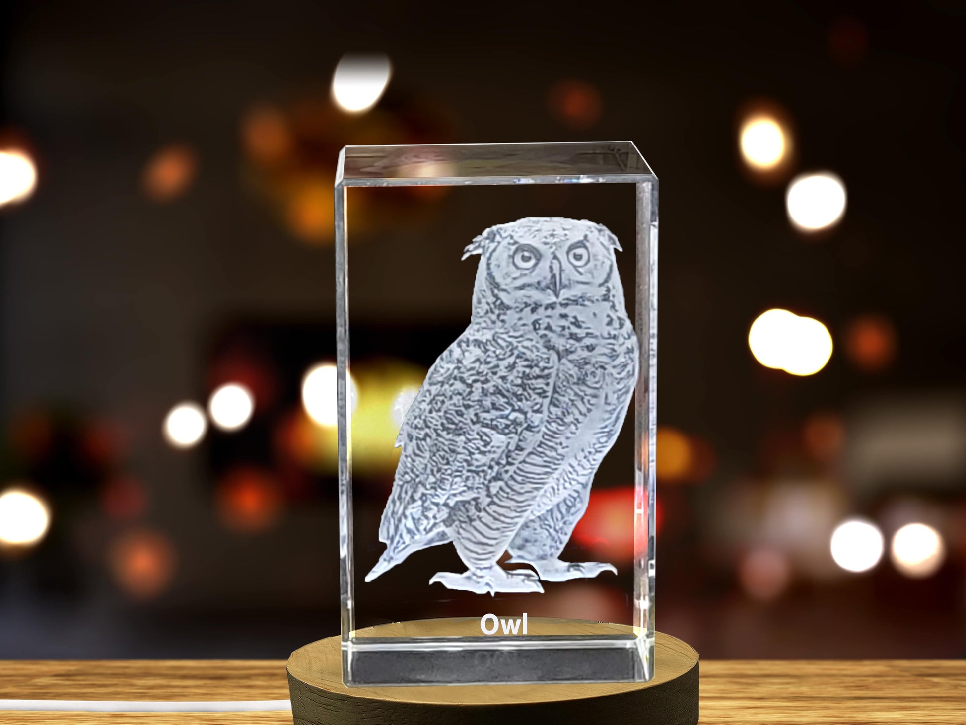 High-Quality Photo Printing & Personalized Gifts - Wise Owl Crystal Carvings | Exquisite Gems Etched with Nocturnal Raptors | FreezePIX