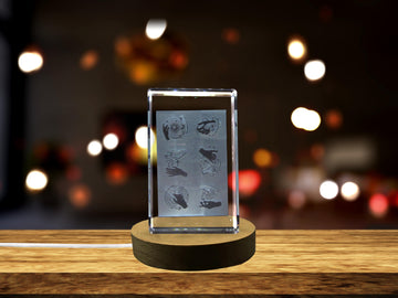 Mystical Hands 3D Engraved Crystal 3D Engraved Crystal Keepsake/Gift/Decor/Collectible/Souvenir