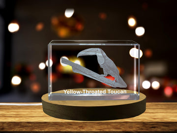 Yellow Throated Toucan 3D Engraved Crystal Keepsake