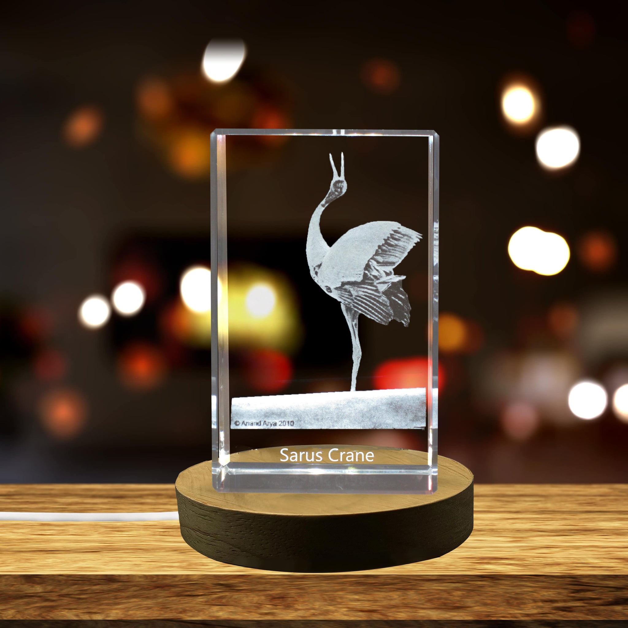 High-Quality Photo Printing & Personalized Gifts - Sarus Crane 3D Engraved Crystal 3D Engraved Crystal Keepsake/Gift/Decor/Collectible/Souvenir | FreezePIX