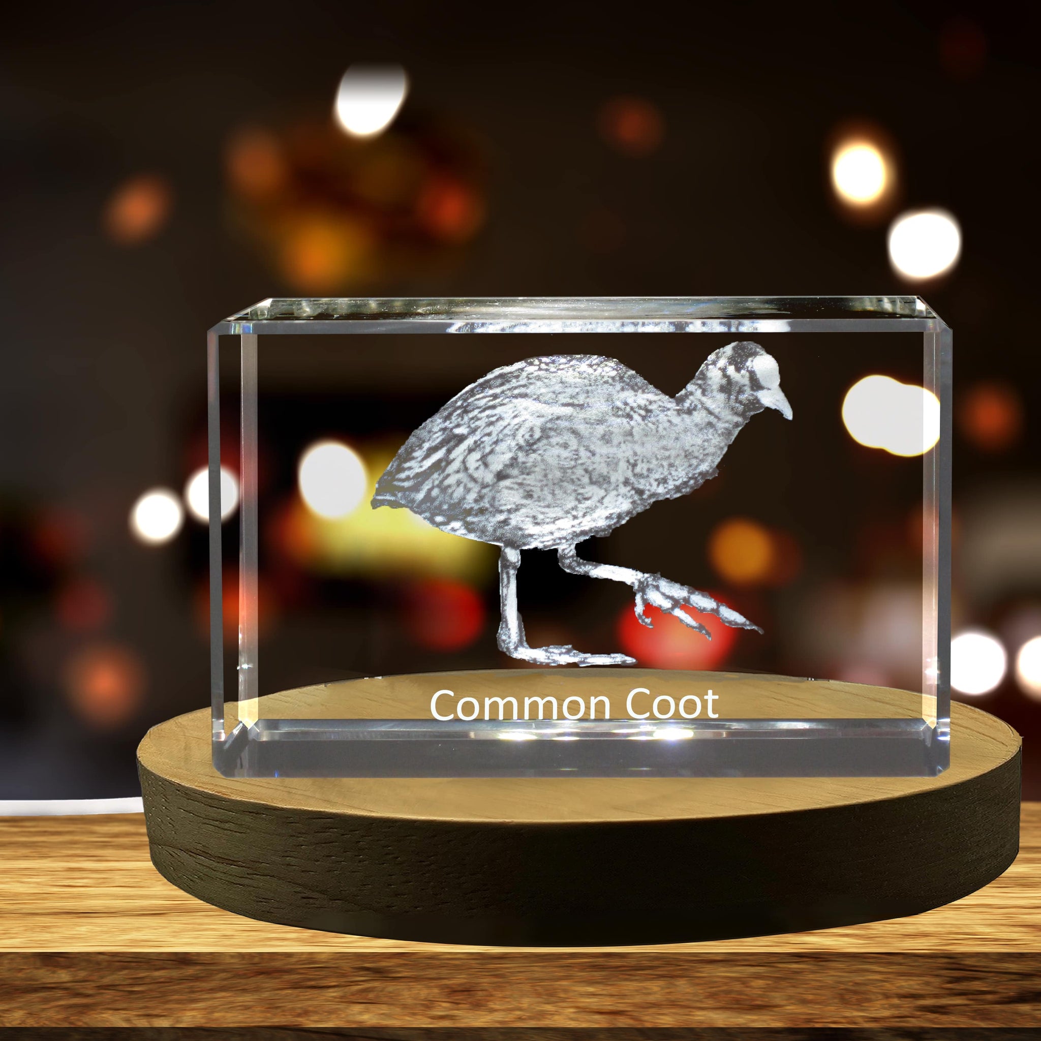 High-Quality Photo Printing & Personalized Gifts - Common Coot 3D Engraved Crystal 3D Engraved Crystal Keepsake/Gift/Decor/Collectible/Souvenir | FreezePIX
