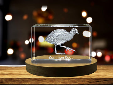 Common Coot 3D Engraved Crystal 3D Engraved Crystal Keepsake/Gift/Decor/Collectible/Souvenir