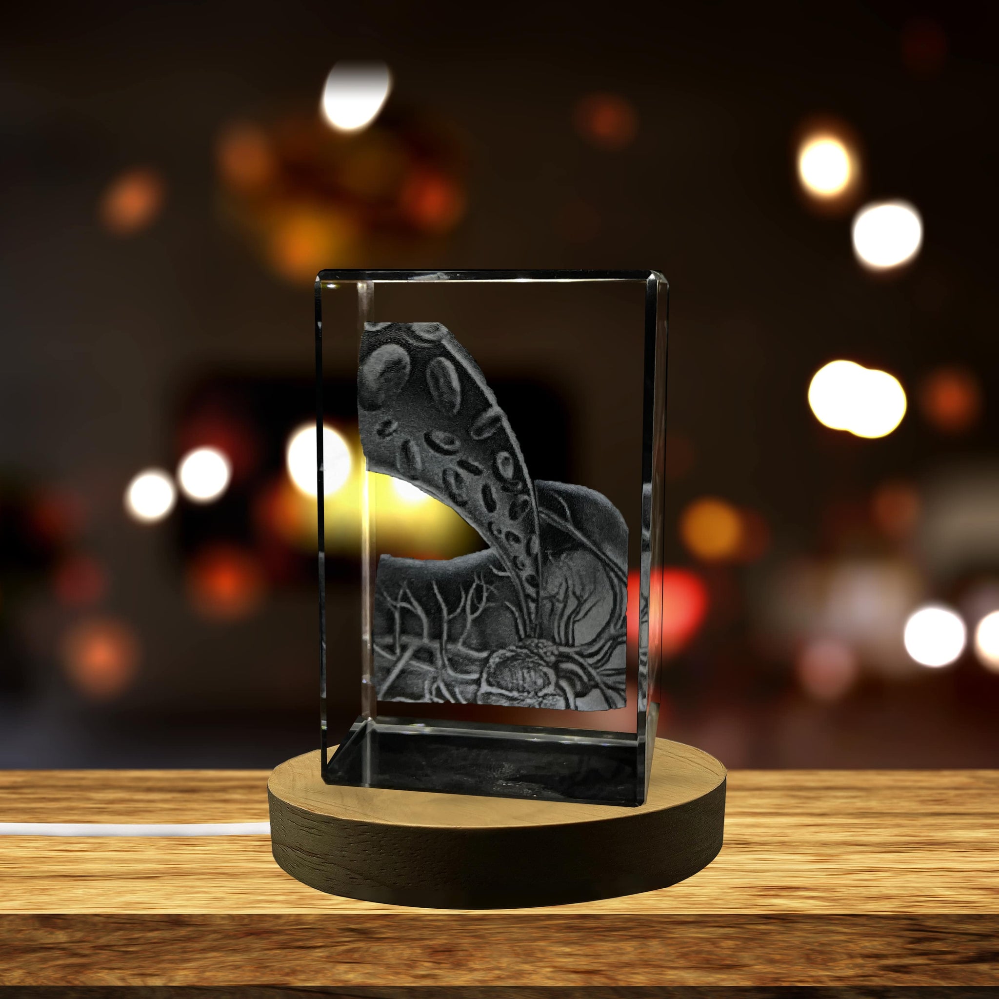 High-Quality Photo Printing & Personalized Gifts - Gallbladder Art | 3D Engraved Crystal Keepsake | Doctor Gift | FreezePIX