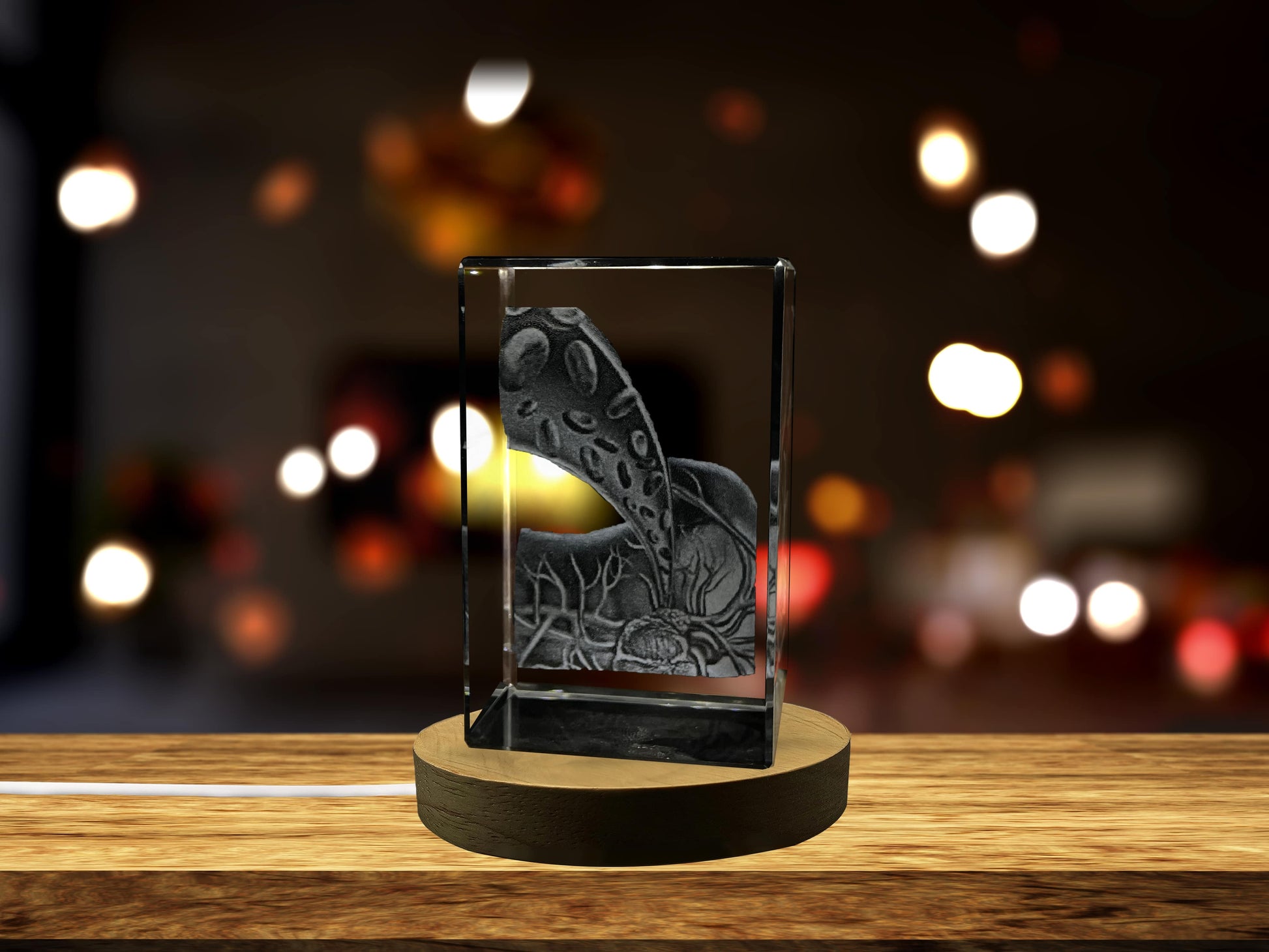 High-Quality Photo Printing & Personalized Gifts - Gallbladder Art | 3D Engraved Crystal Keepsake | Doctor Gift | FreezePIX