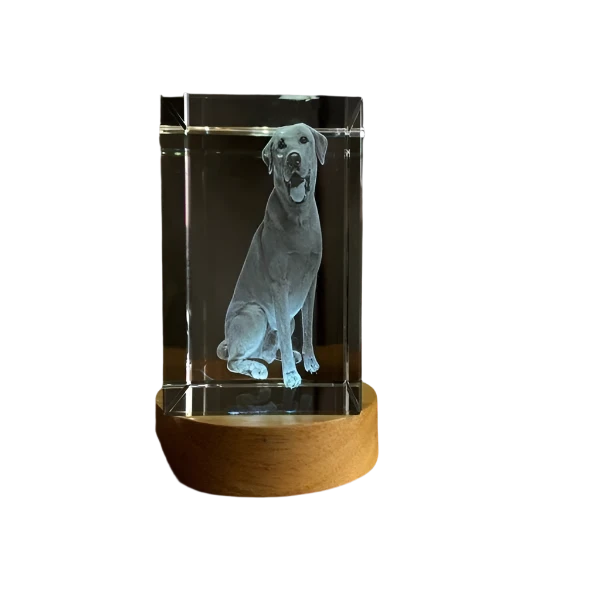 Rectangle Personalized 3D Engraved Crystal - Timeless Photo Gifts