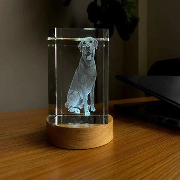 Rectangle Personalized 3D Engraved Crystal - Timeless Photo Gifts