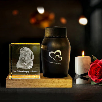 FreezePIX Cremation keepsake